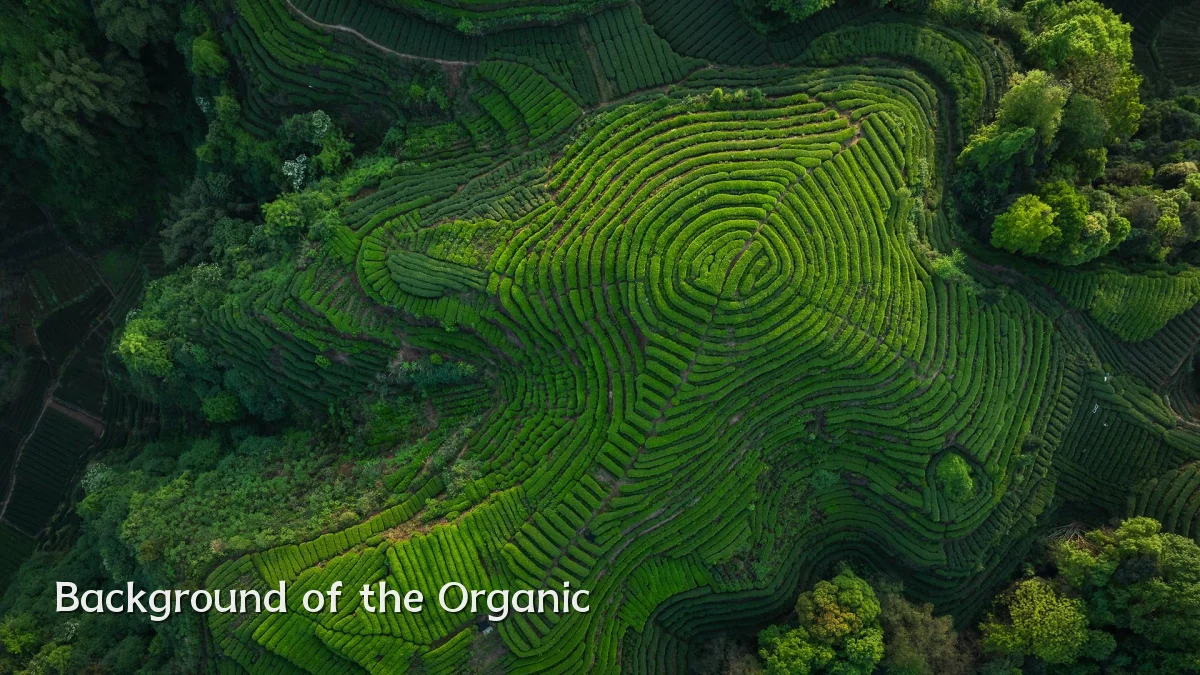 Background of the Organic
