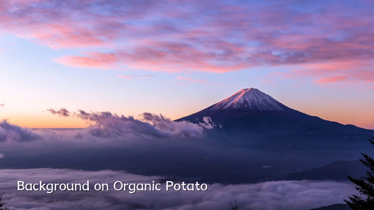 Background on Organic Potato
