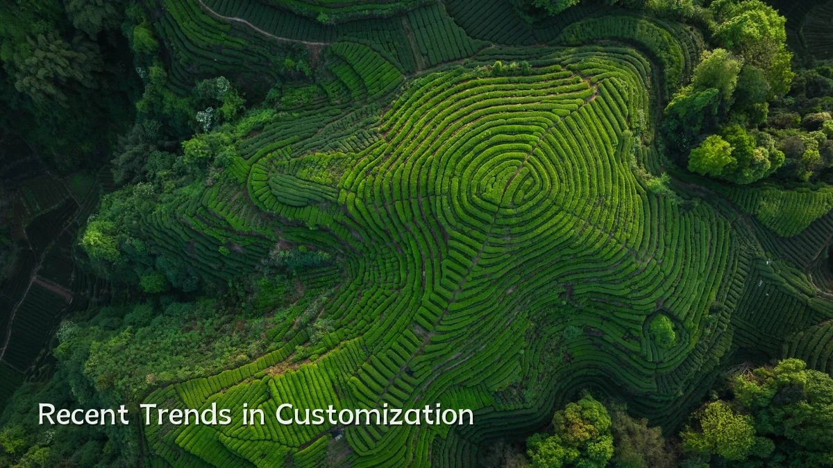 Recent Trends in Customization