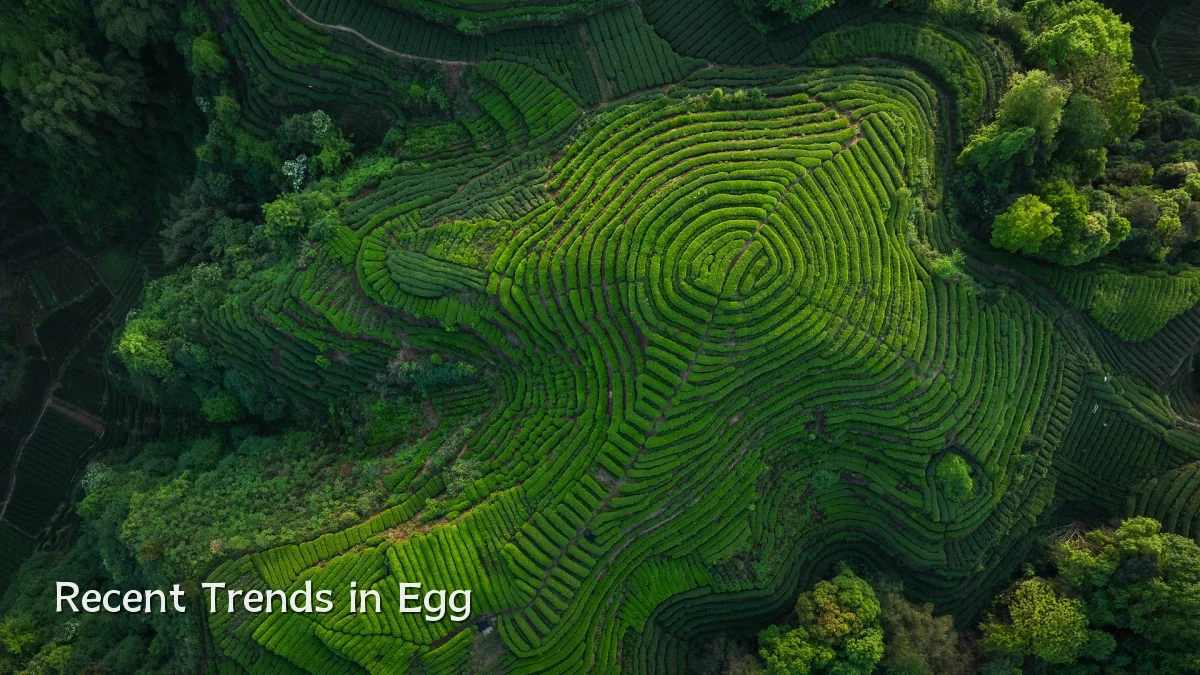 Recent Trends in Egg