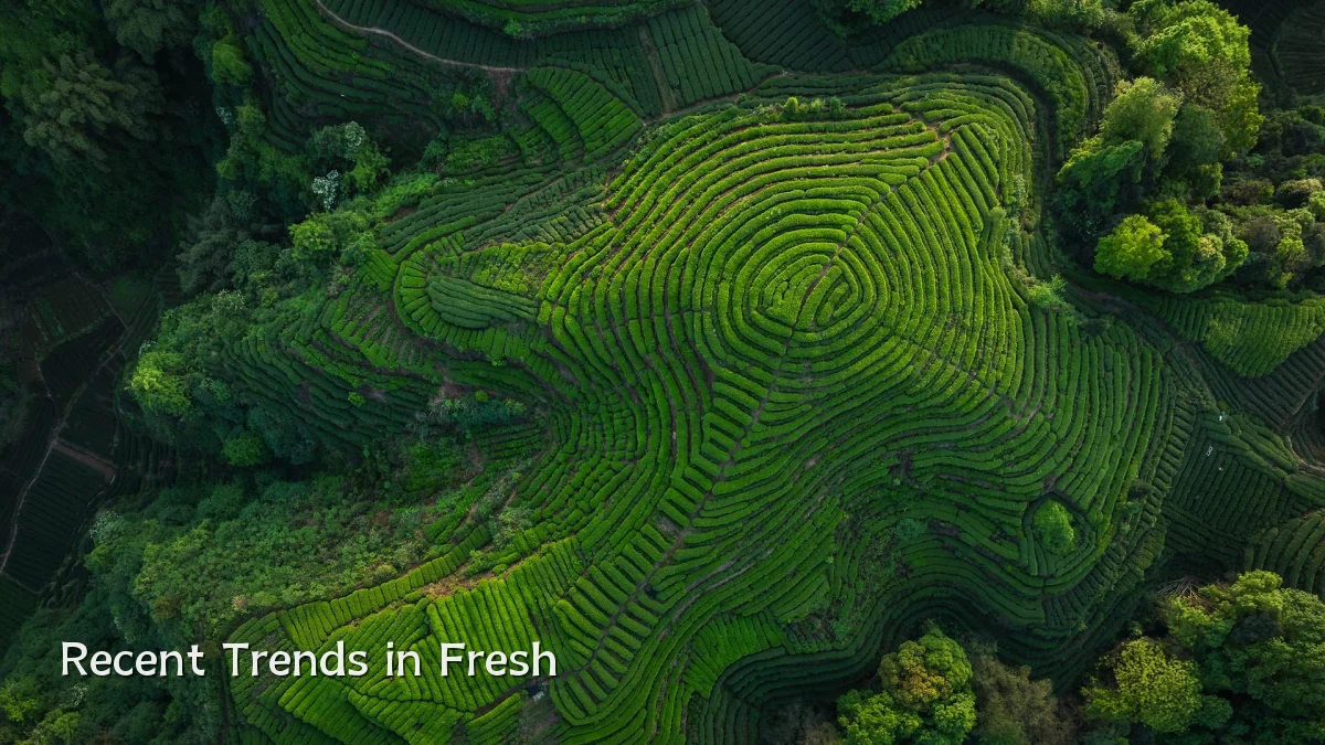 Recent Trends in Fresh