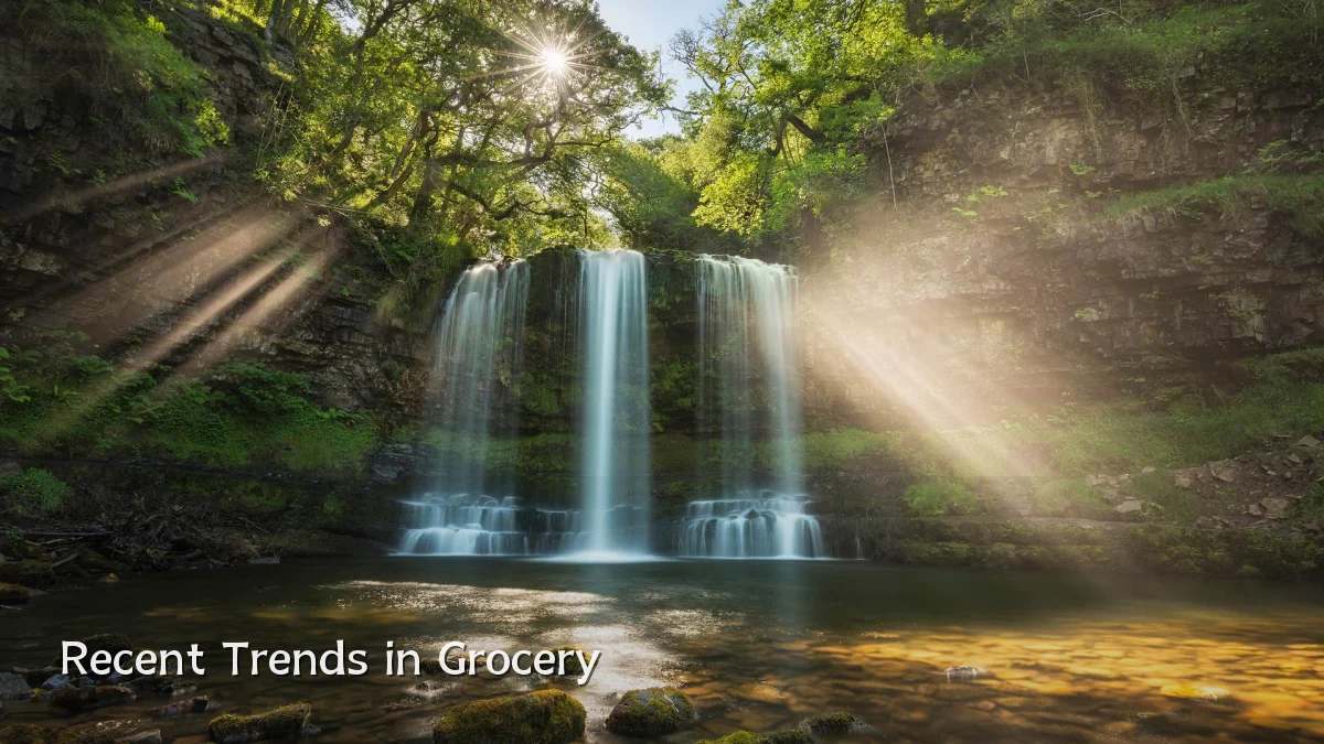Recent Trends in Grocery