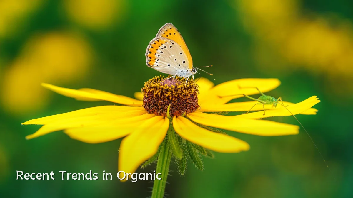 Recent Trends in Organic
