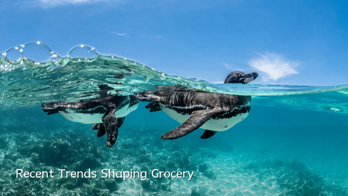 Recent Trends Shaping Grocery