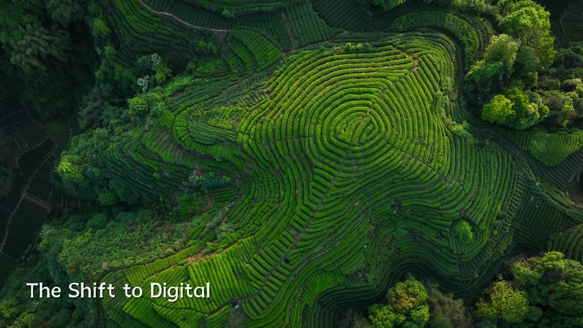 The Shift to Digital