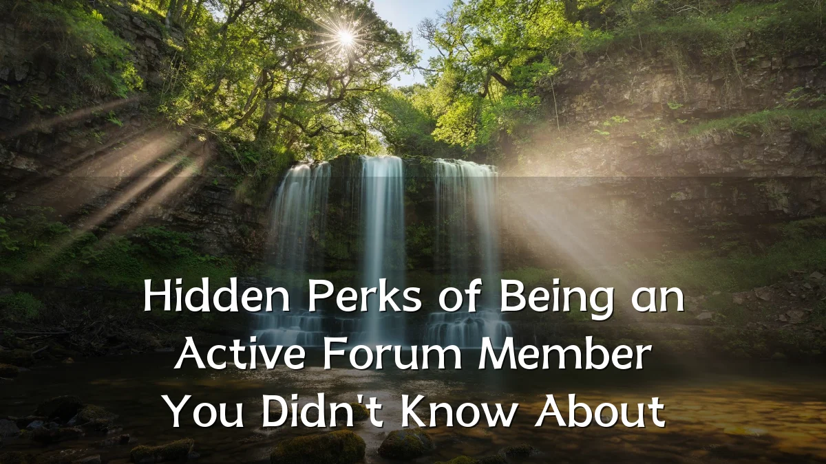 Hidden Perks of Being an Active Forum Member You Didn't Know About