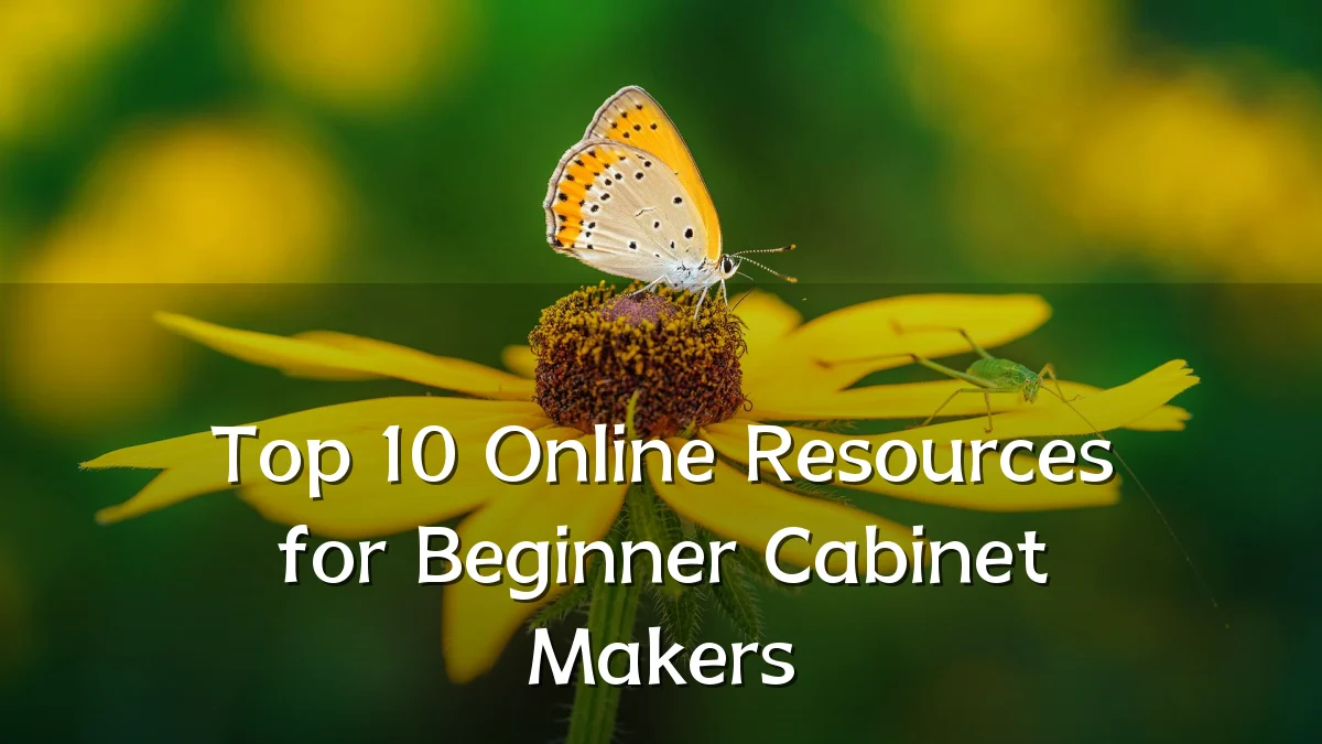 Top 10 Online Resources for Beginner Cabinet Makers