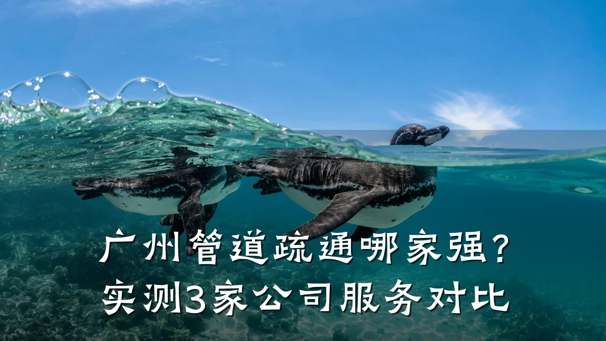 广州管道疏通哪家强？实测3家公司服务对比